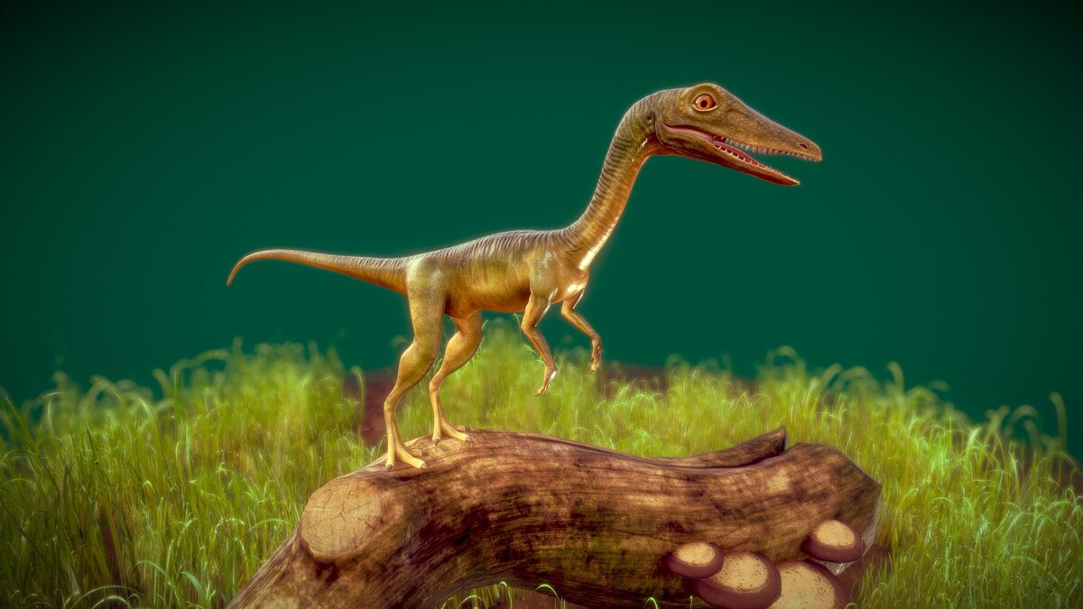 Компсогнат