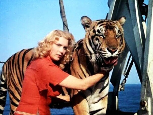 Кадры с фильма "Полосатый рейс"