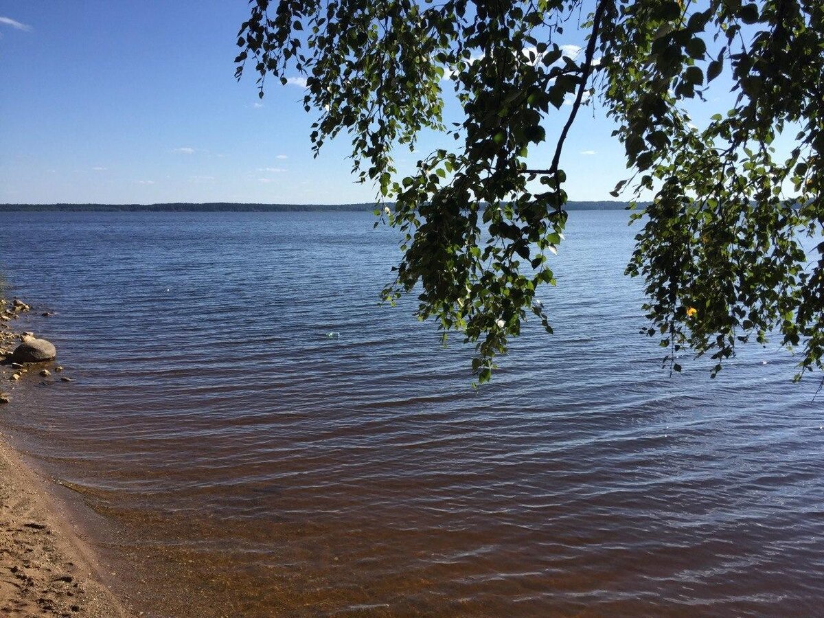 Турбаза чайка озеро волго