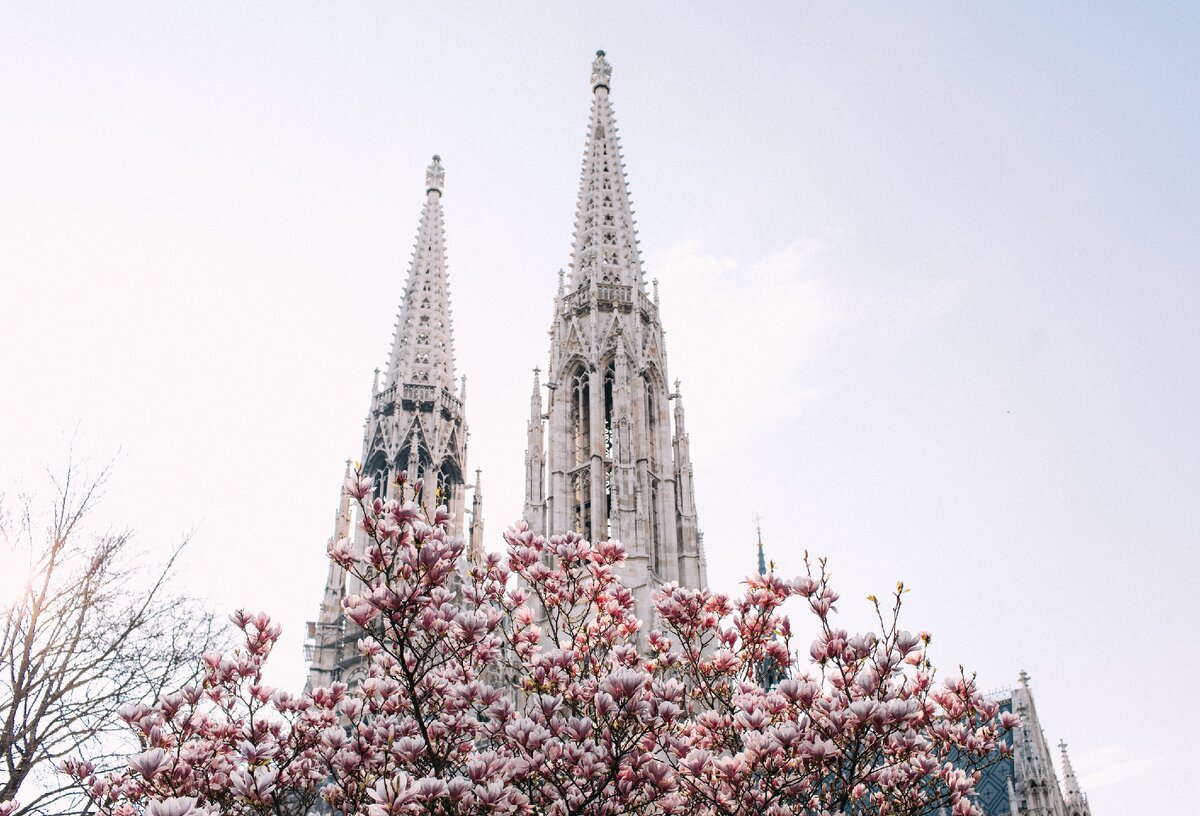 Votivkirche накануне карантина. Фото: terrakopova.com