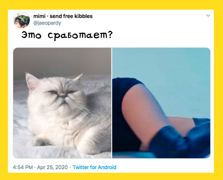 Пушистый с ногами. 
