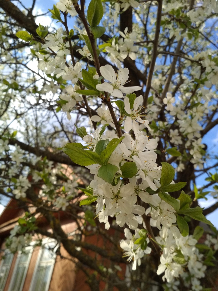 здесь, по соседству с Достоевским, живут потомки древних солеваров.