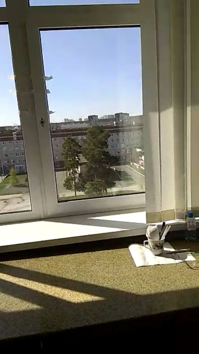 Вид из окна палаты, личное фото