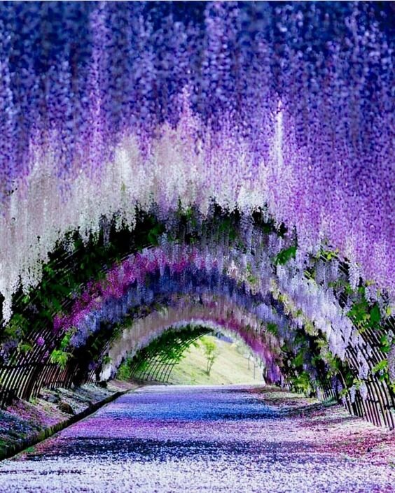 https://www.pinterest.ru/pin/784963410034703821