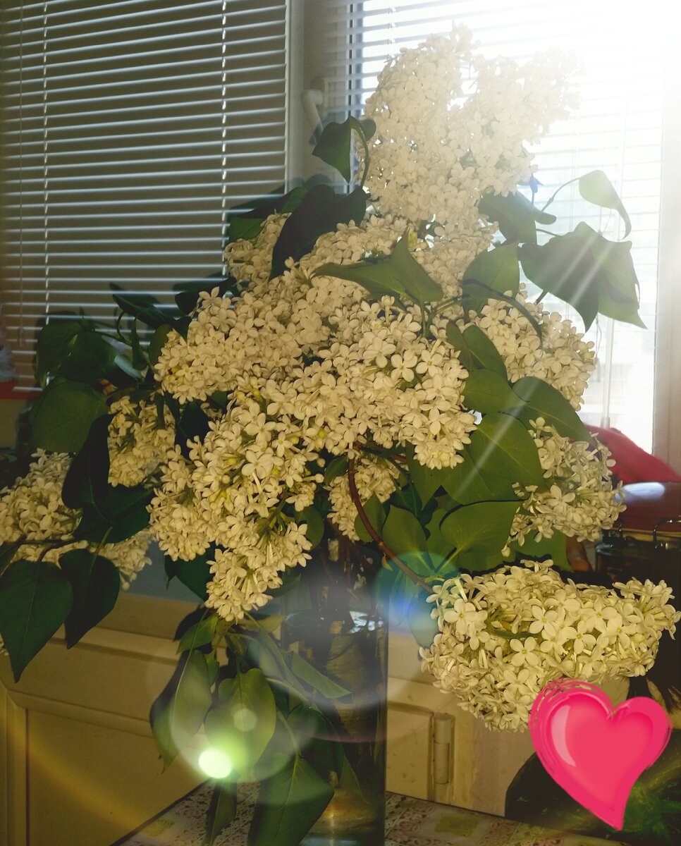 21 мая .Вот такой сюрприз 