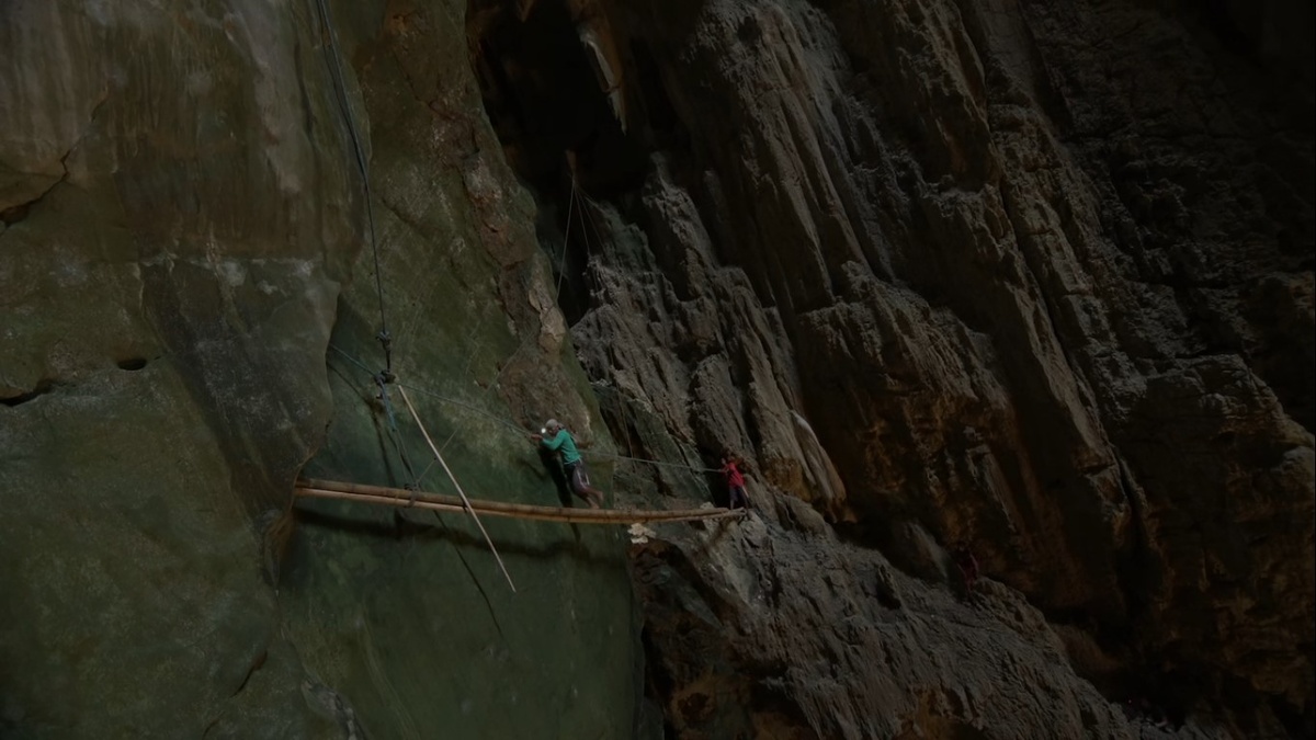 Кадр из фильма: Nests of Gold ( Vimeo)