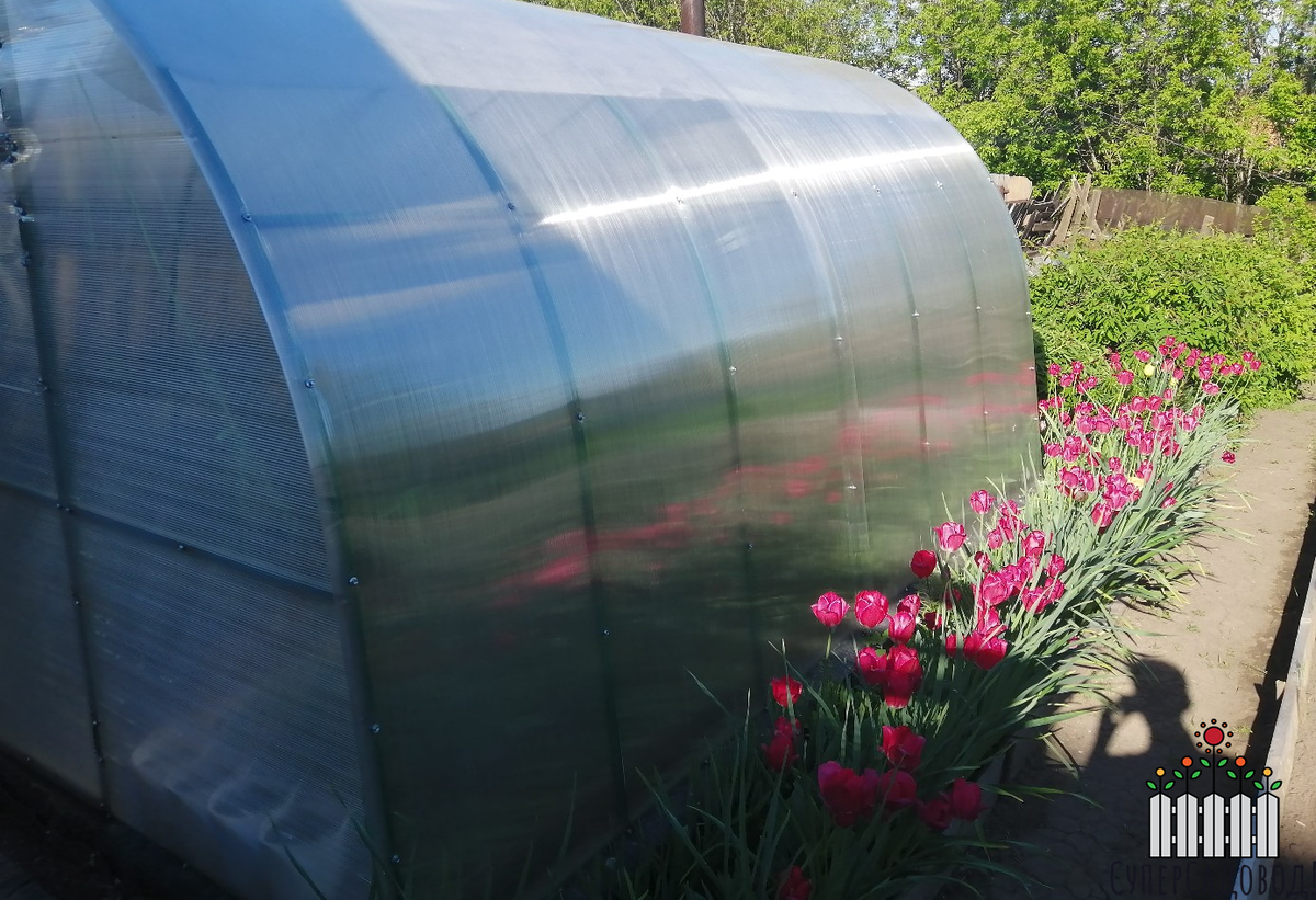 Моя небольшая теплица