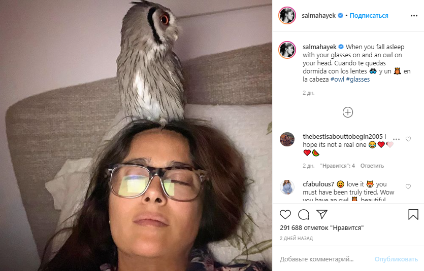 Картинка взята из открытого источника