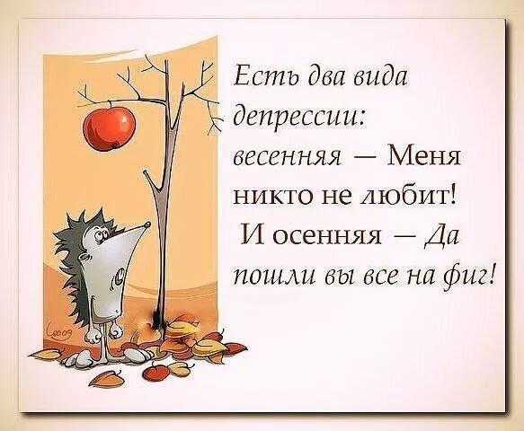 Фото из открытого источника