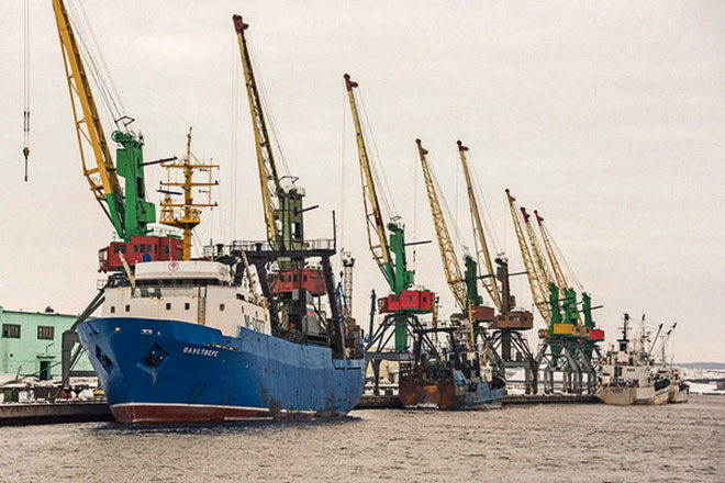 Мурманский морской рыбный порт