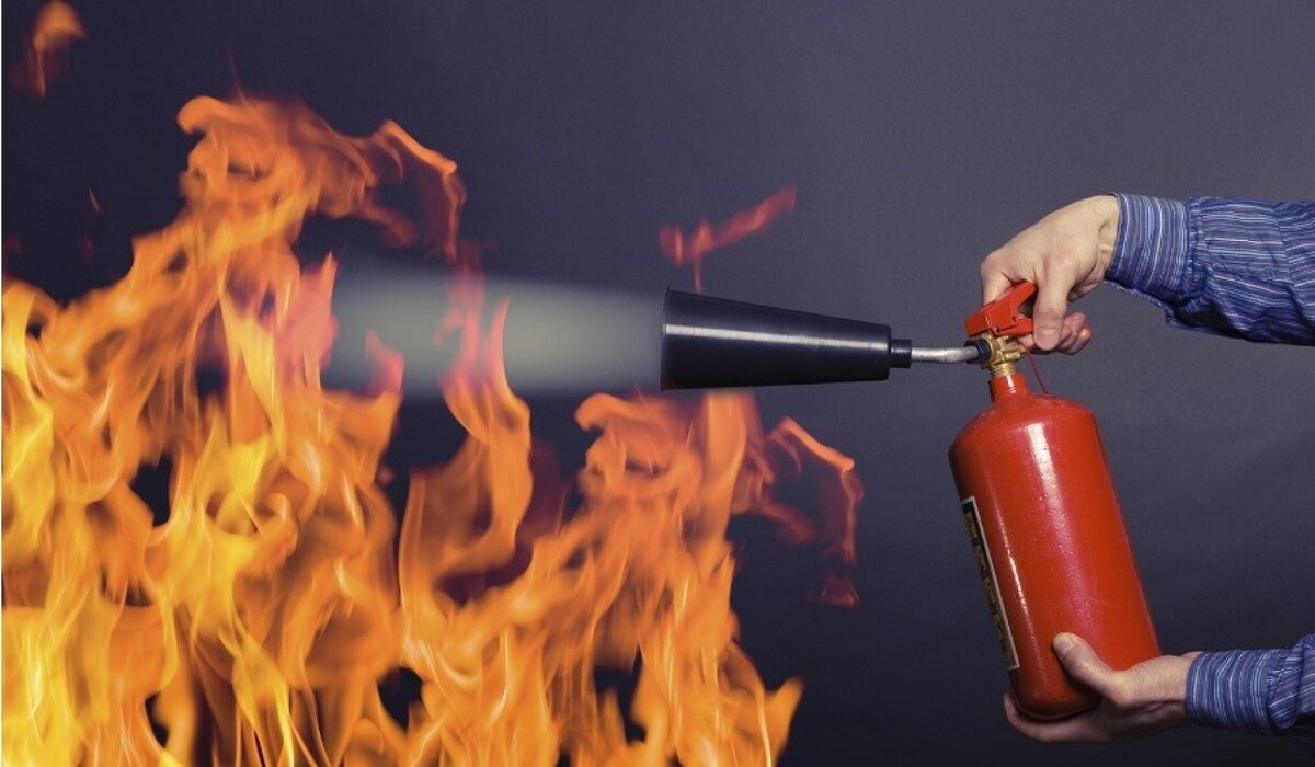 Фото из открытых источников сети Интернет.