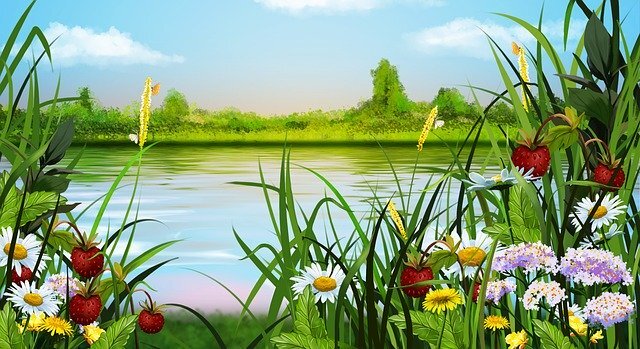 Pixabay License Бесплатно для коммерческого использования
Указание авторства не требуется
