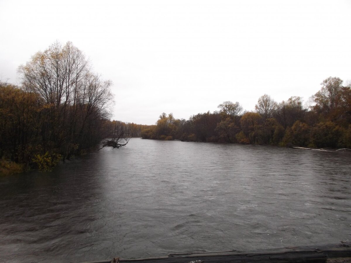 Река Лимури.Яндекс картинки