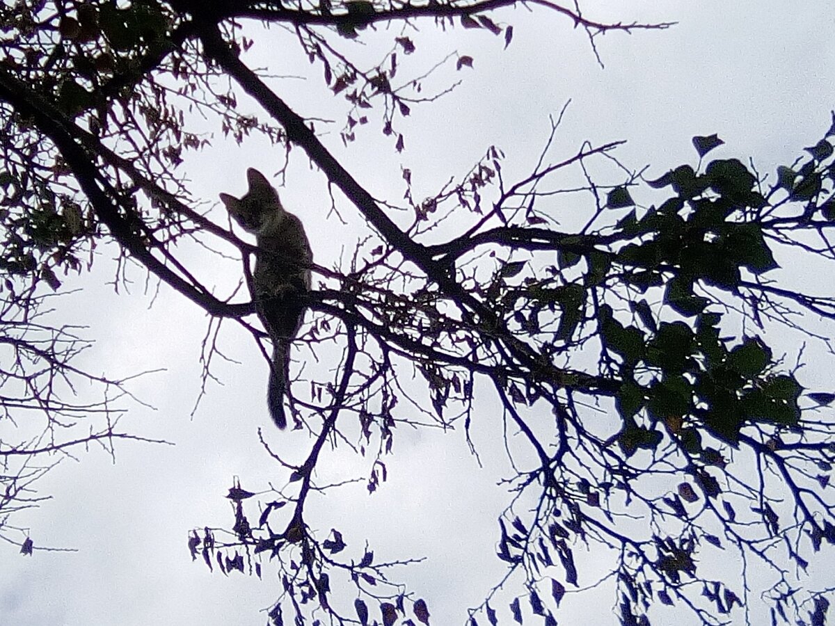 Сейчас очень много кто открывает свои интернет-магазины, вот я и решила рассказать реальный кейс (с полным раскладом) А КАК ЭТО БЫЛО У МЕНЯ – перед вами 2 года реальных событий развития интернет-бизнеса С НЕОЖИДАННОЙ КОНЦОВКОЙ! На все вопросы отвечу в комментариях! Читайте, учитесь и не повторяйте наших ошибок! (все имена и названия фирм  изменены)