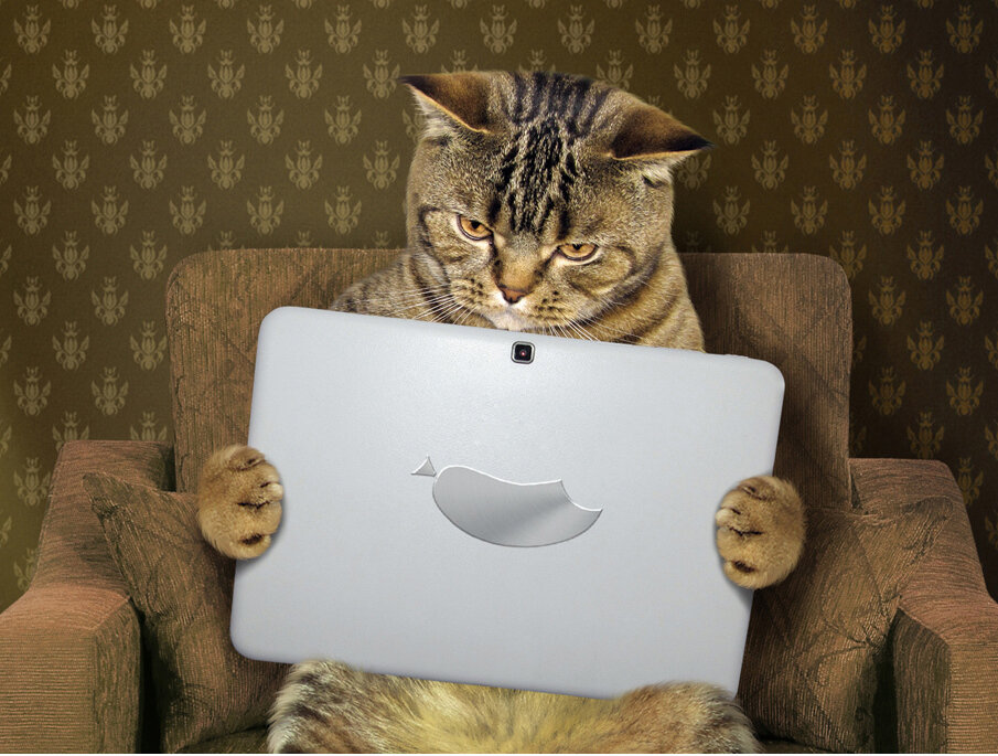 Когда купил ноутбук только из-за внешнего вида :)