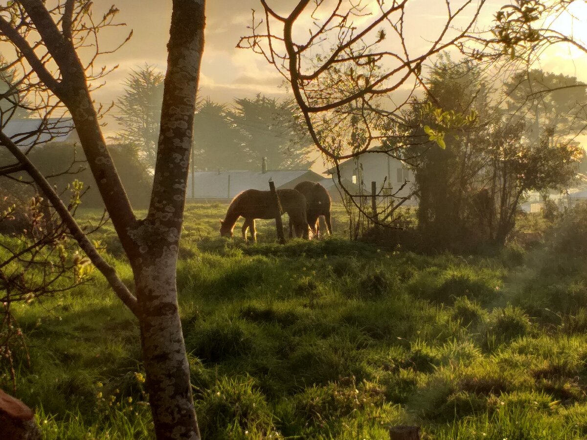 Вечерний вид из моего окна