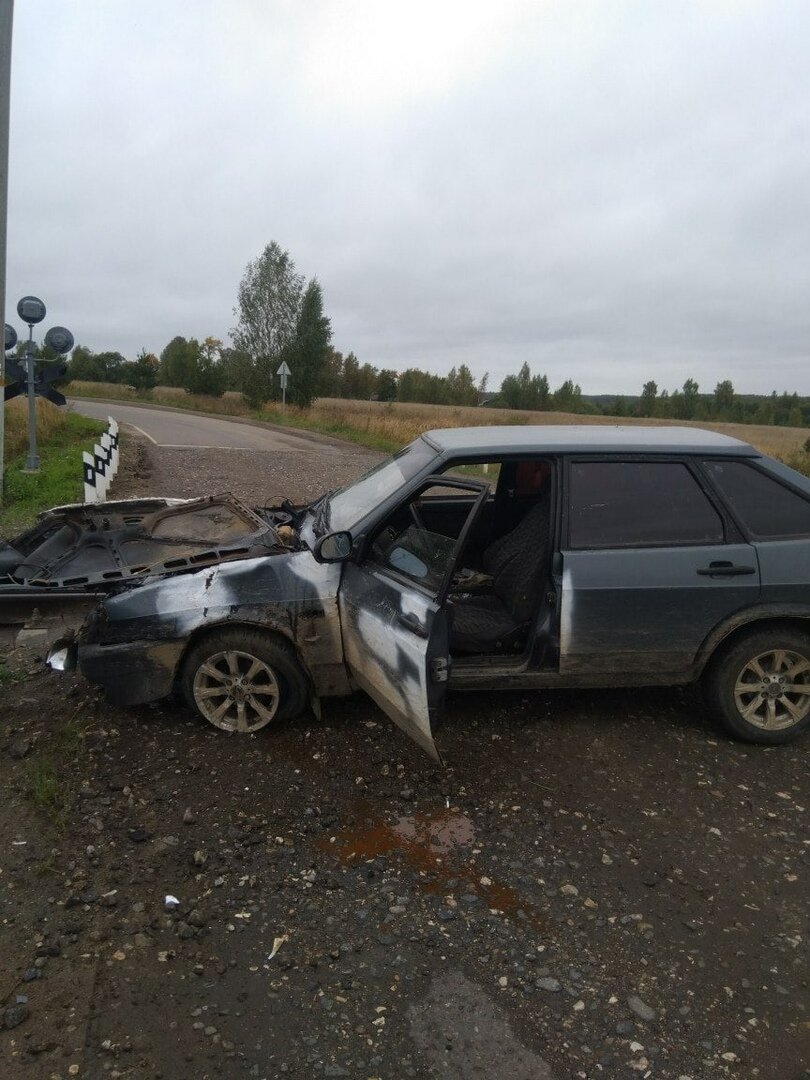 Фотография взята из открытого источника