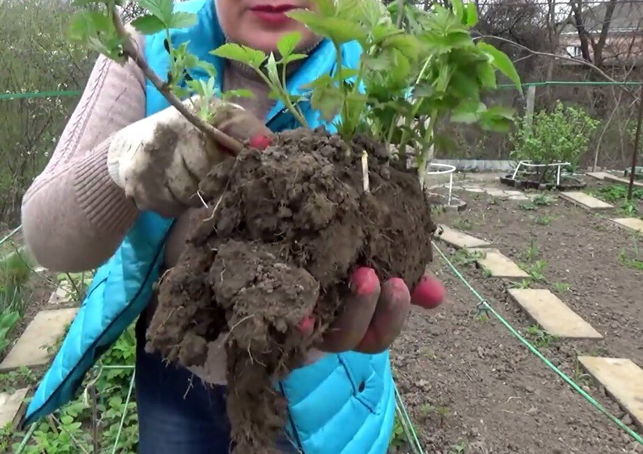 Фото сделано в 2020 г.