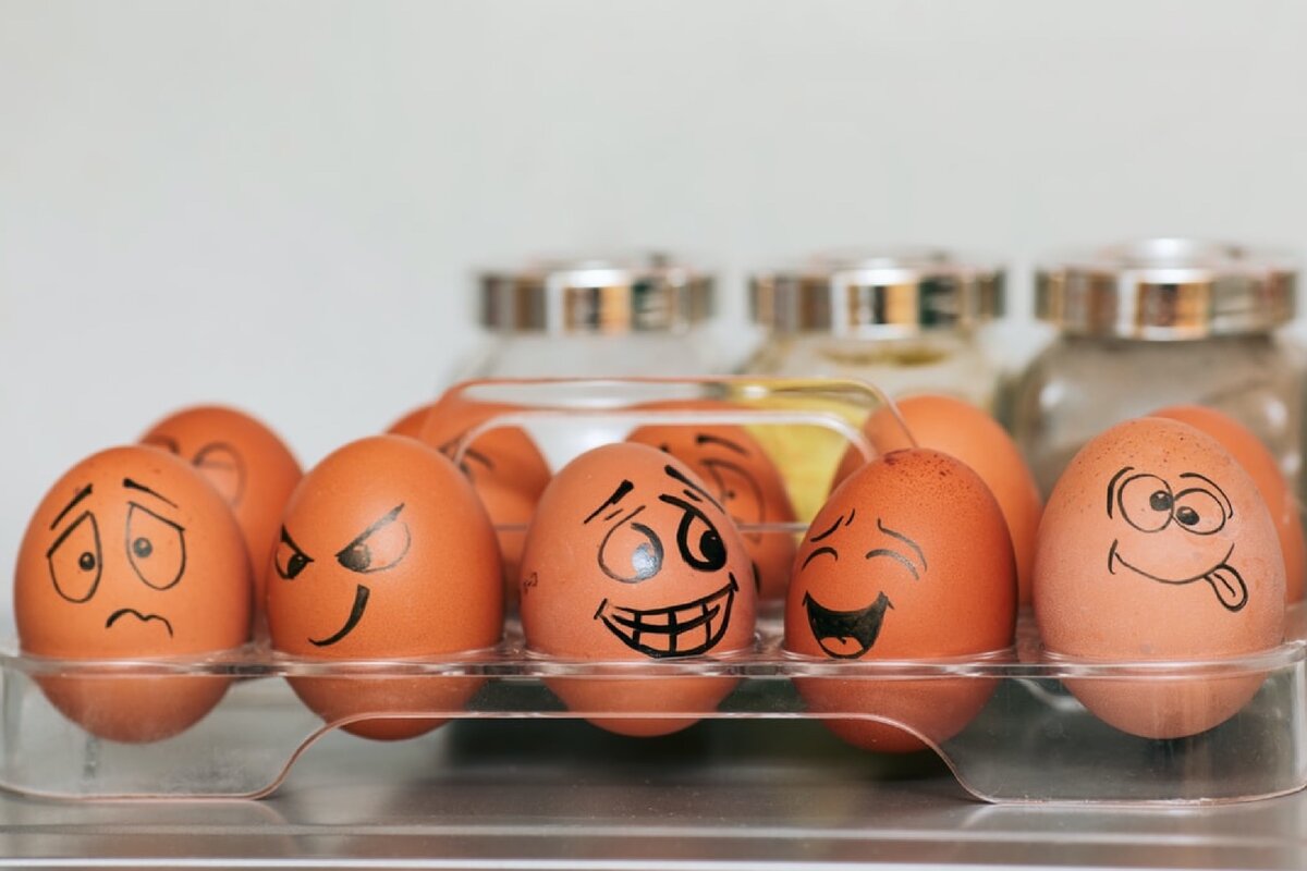 Все это яйца, но они разные.