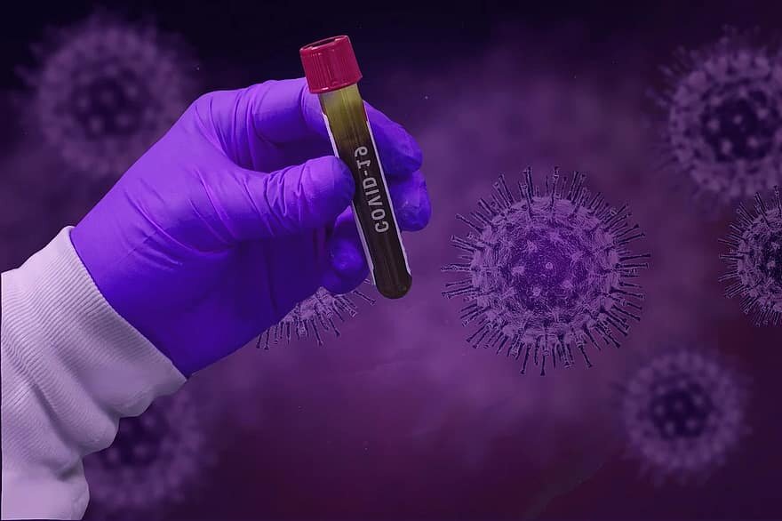 Фото из свободных источников