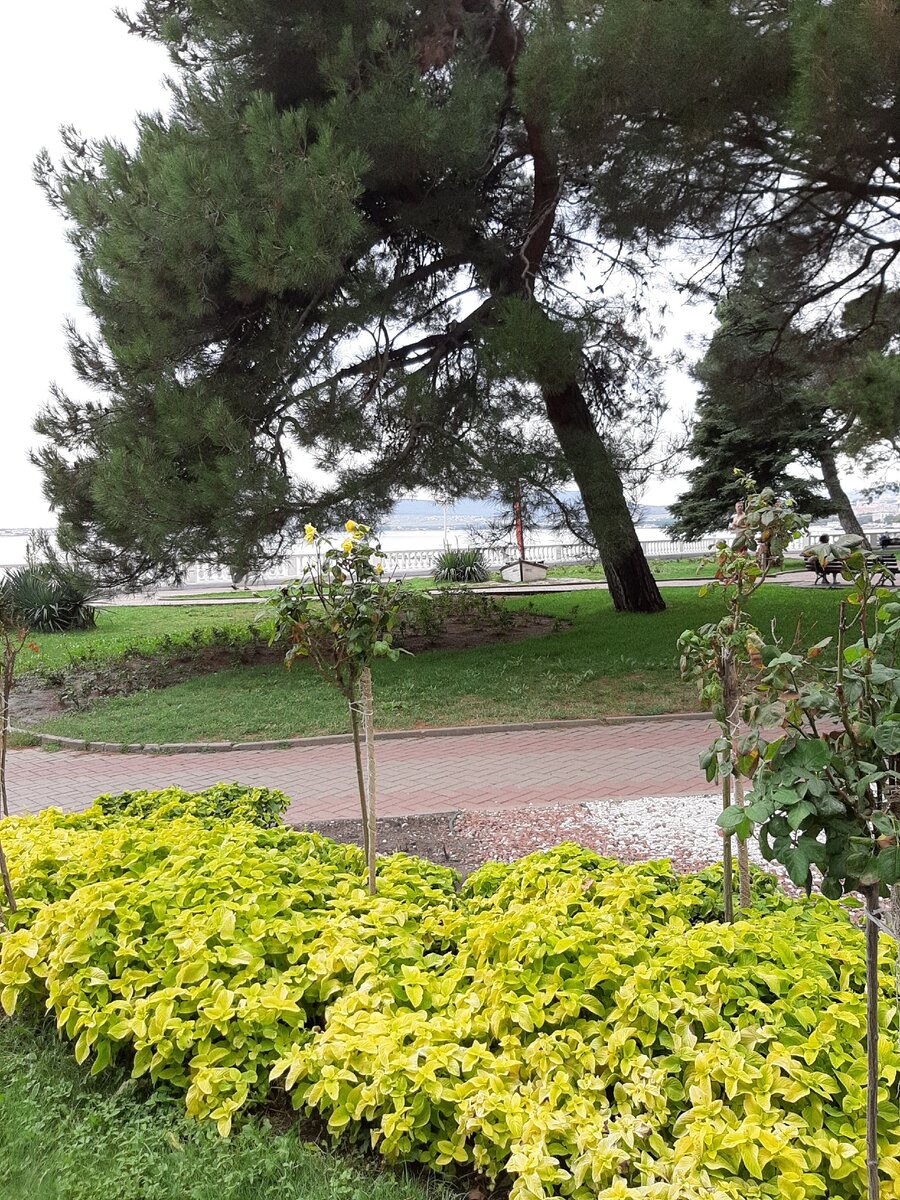 Набережная в октябре. Фото автора.