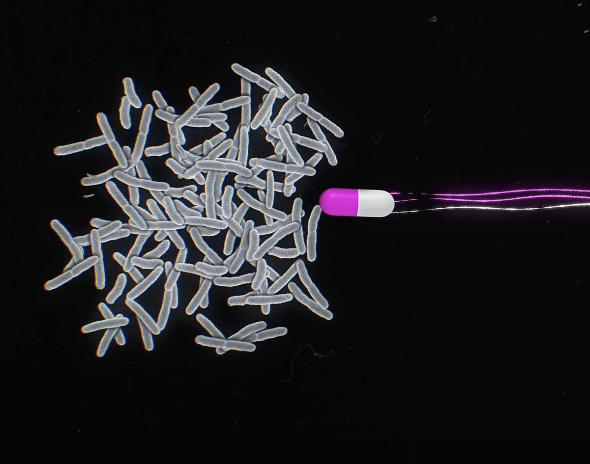 Борьба антибиотиков против бактерий