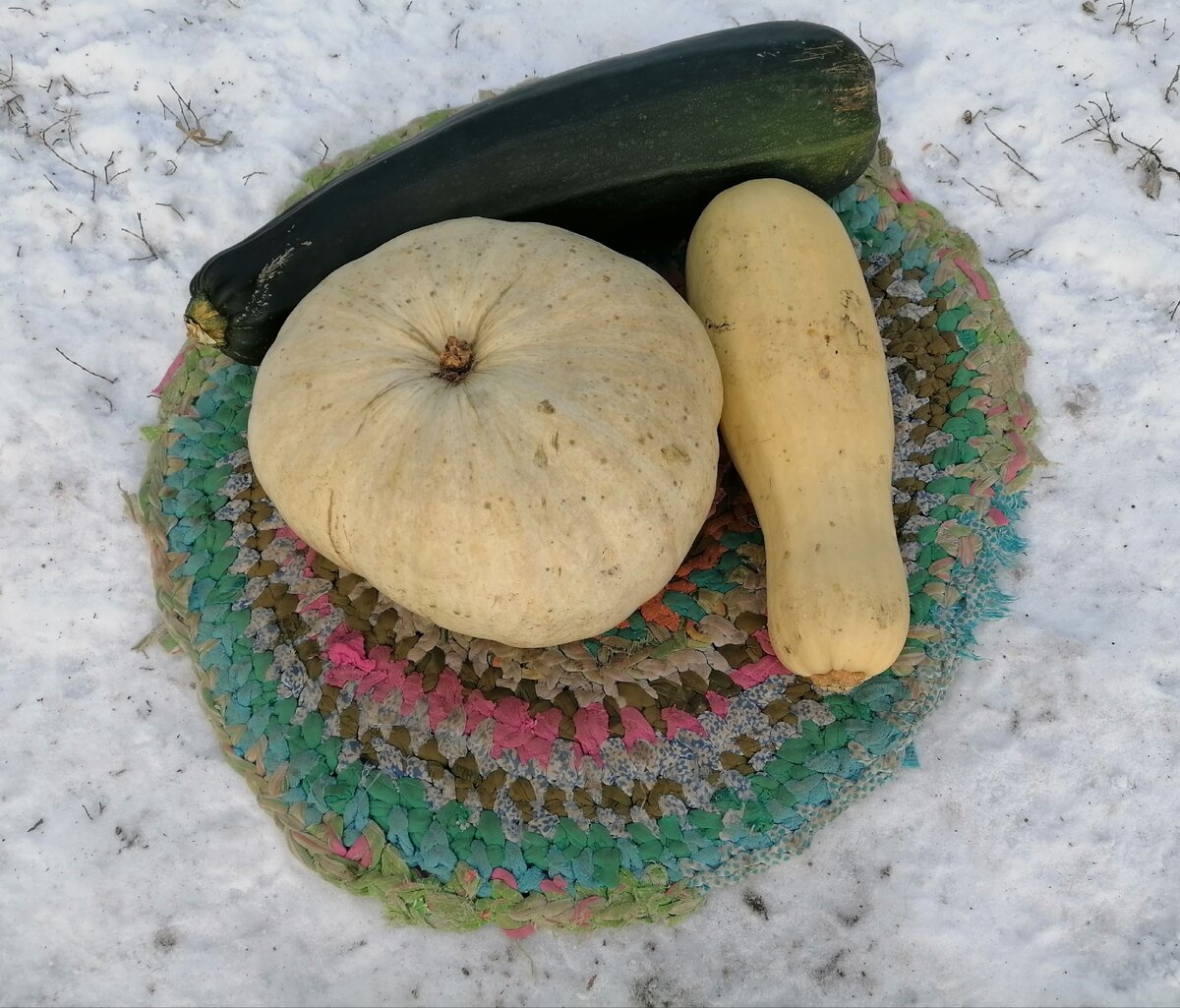 Мои кабачки с тыквой.