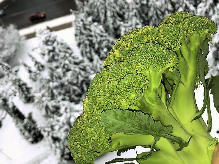 Brocoli al vapor en microondas