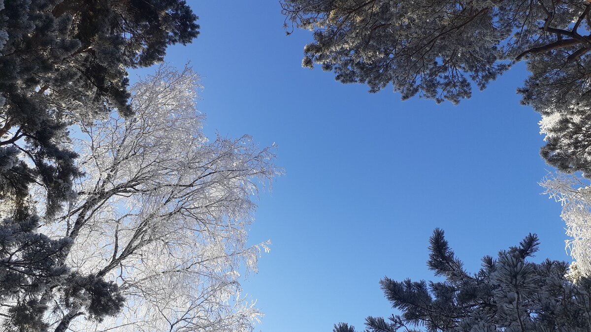 Фото Елены Шрайбикус