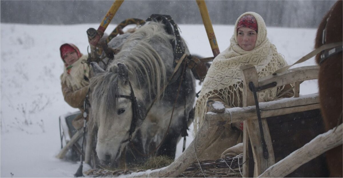 Сани трансформер для лошади | купить в Москве за руб.
