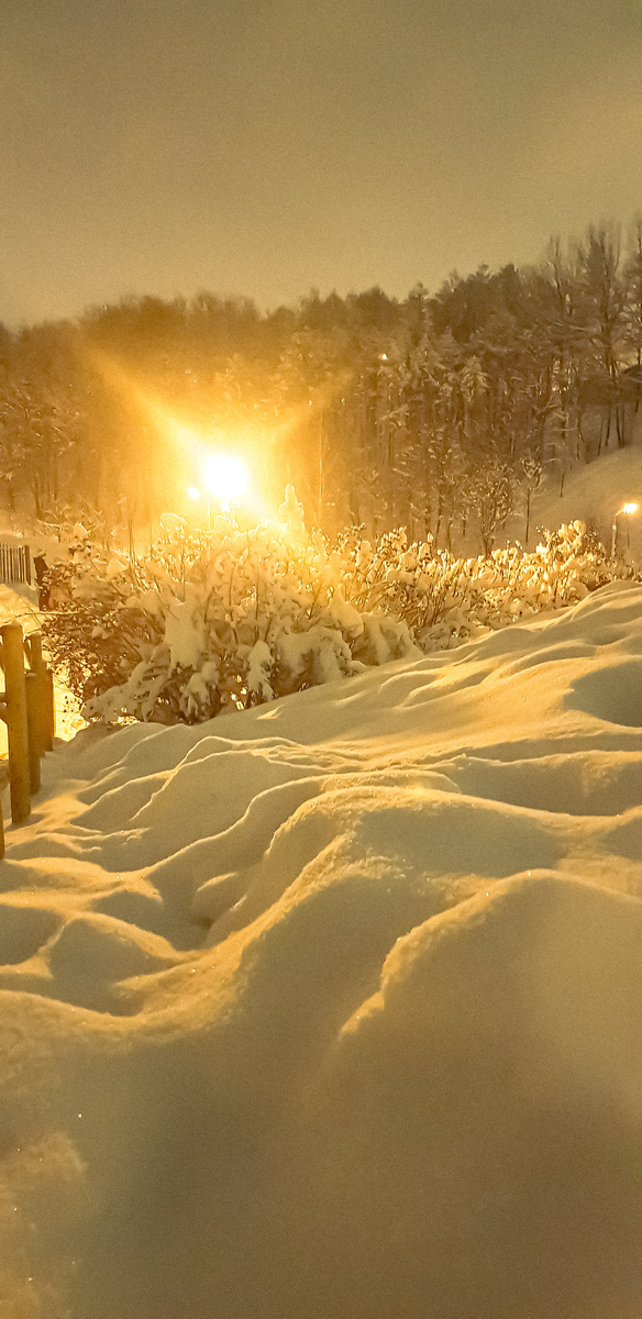 Что мне больше всего нравится в зиме? То, что она когда-нибудь закончится.