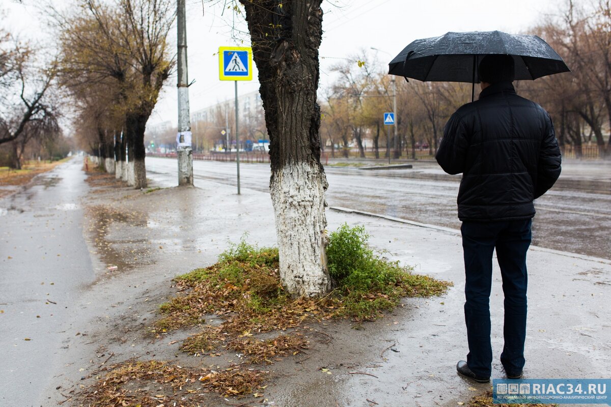 Зима 2020 года кому-то не понравилась. А я была рада: ни холода, ни снега. Всю зиму в осеннем пальто проходила...