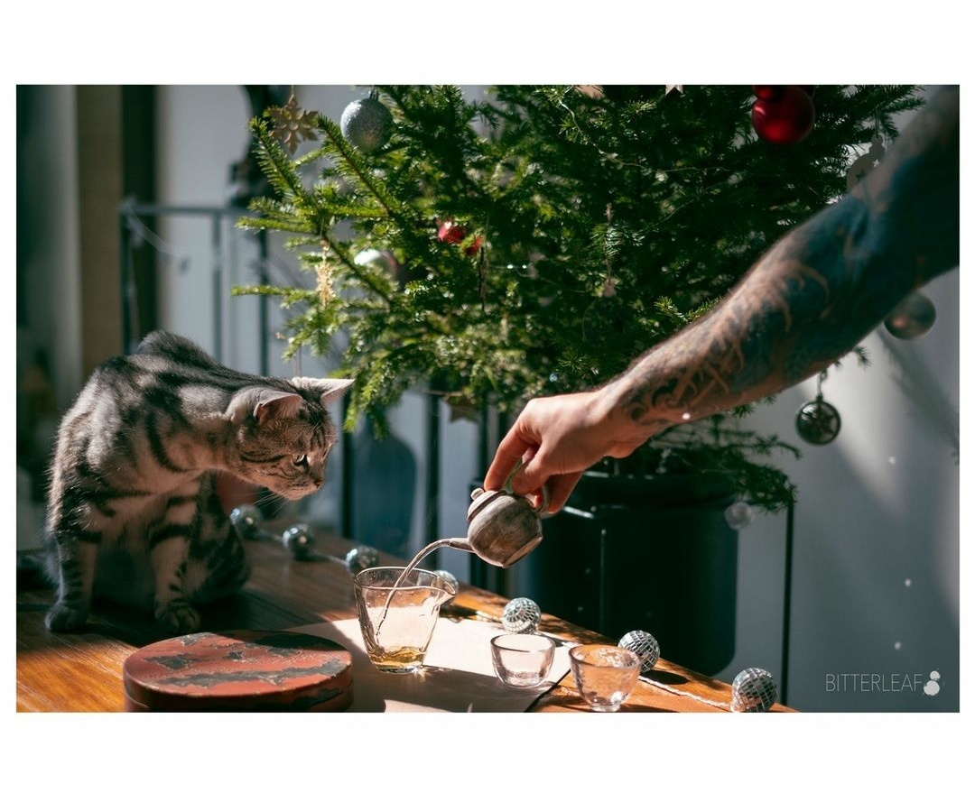 Замечательная фотография от bitterleafteas