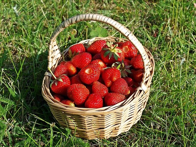 Изображение kie-ker с сайта Pixabay 
