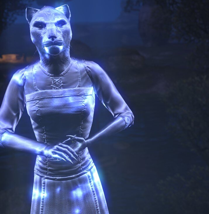 Карта в галерее