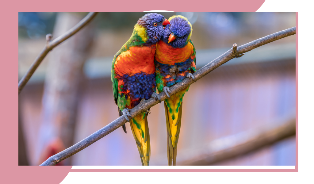 Фотография из открытых источников