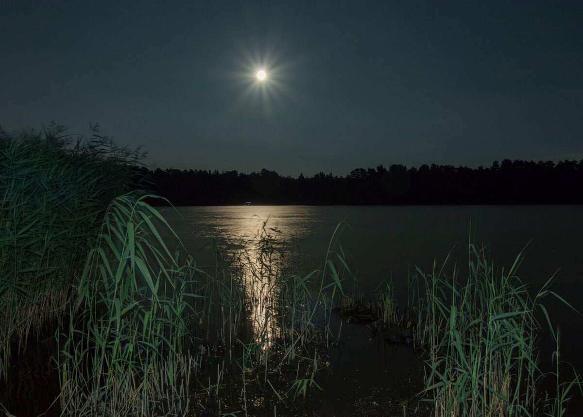 Лунная дорожка на реке.
Источник: https://photonomy.ru/uploads/images/miniatures/O8hST7Mpwgovy55n1A2y7jMJKL8a6lyN_low.jpg