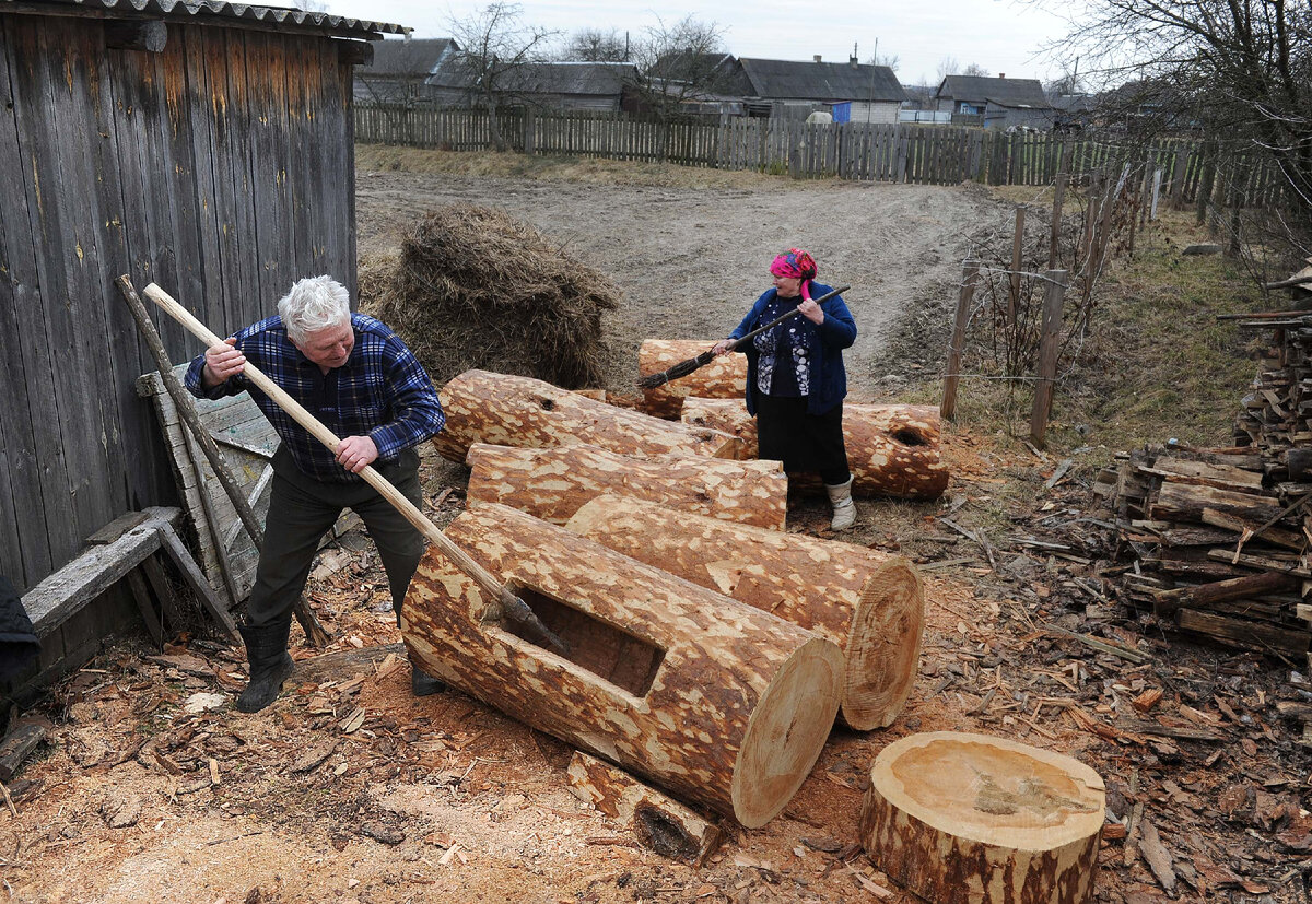 Иван и Надежда Дриневские заготавливают борти.  Деревня Понеж, Лельчицкий район