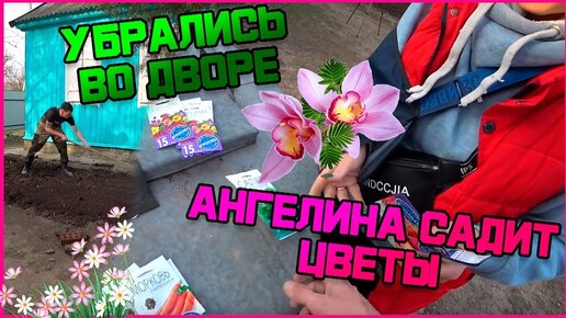 Download Video: САДИМ ЦВЕТЫ В МАРТЕ / ВСКОПАЛ ГРЯДКИ / УБРАЛИСЬ ВО ДВОРЕ / ПОЛИСАДНИК С ЦВЕТАМИ / НАШ ДОМ В ДЕРЕВНЕ