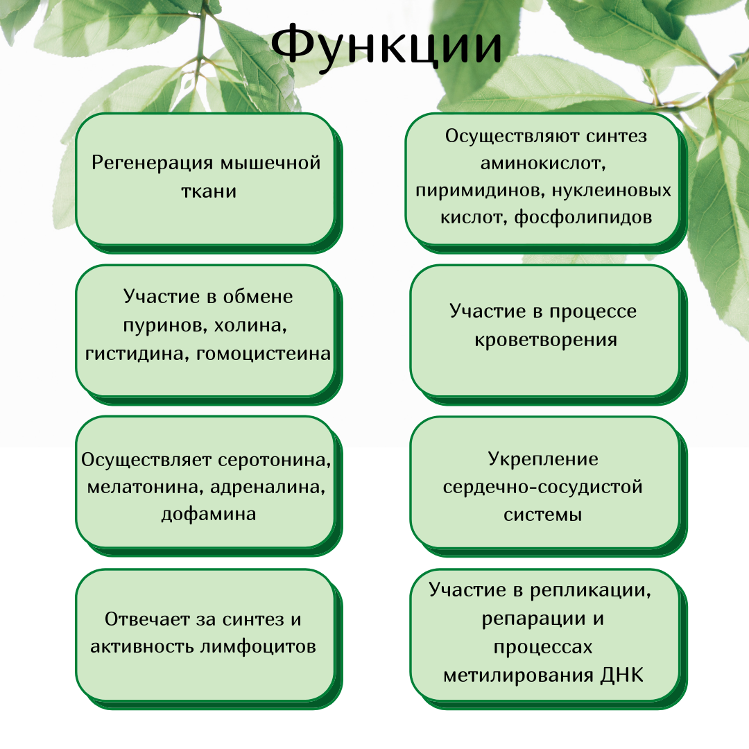 Что такое фолиевая кислота? Это витамин B9,соединение состоящее из птеридина, глутамата и парааминобензойной кислоты.-3