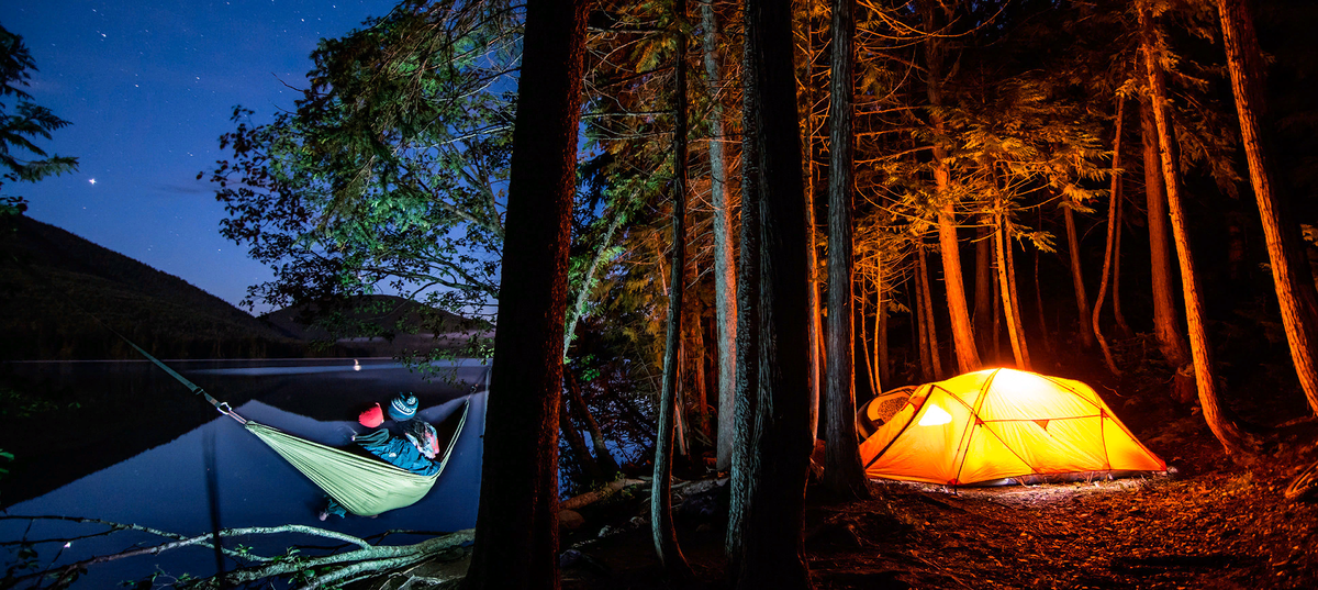 Отдых в лесу 