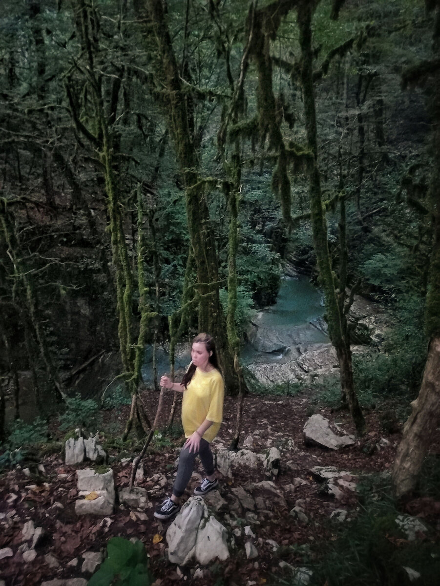 Дзыхринское ущелье в сентябре в окружениисамшита и мха