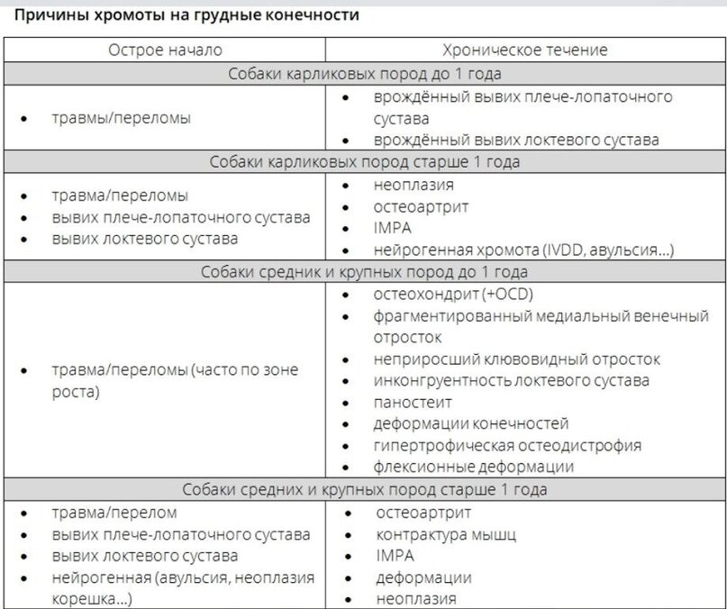 Причины хромоты животных на грудные конечности