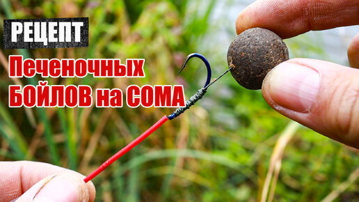 Как сделать бойлы на сома своими руками + снасть на сома + подводная ...