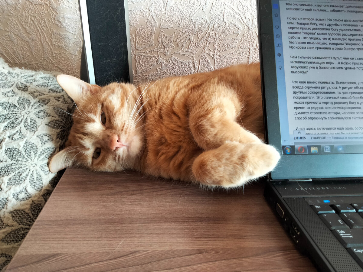 Фото Анастасии Петровой