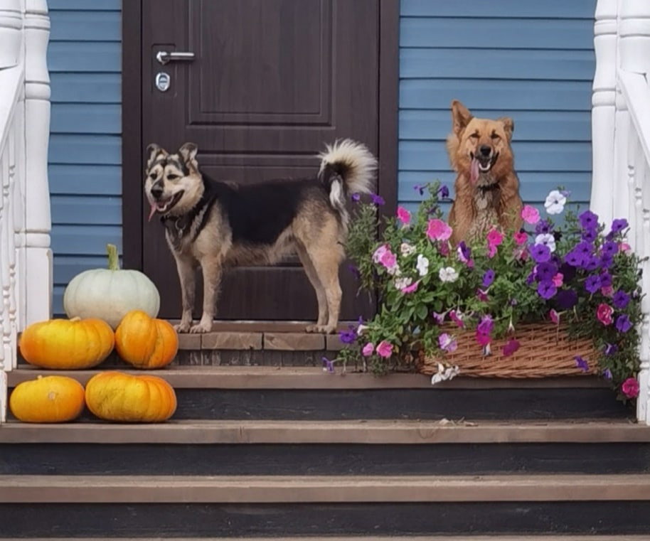 Как приятно, когда тебя ждут