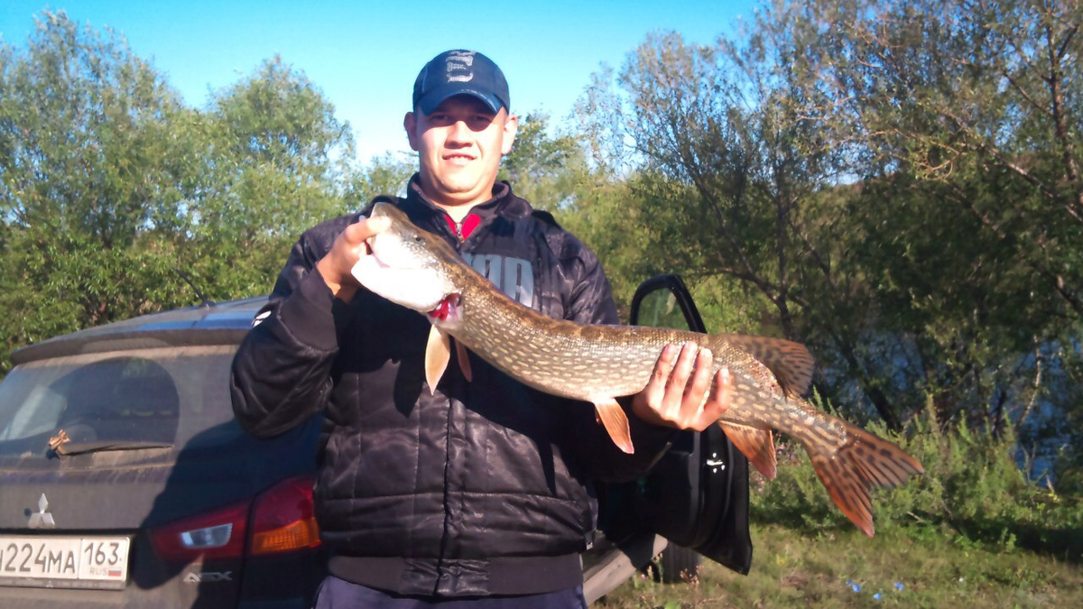 Чтобы успешно ловить щуку на кружки осенью, нужно не только правильно изготовить снасть, но уметь верно выбрать место ловли и соответствующую тактику ловли.
Осенью со значительным похолоданием воды стаи мелкой кормовой рыбы отходят от берега на глубины в 4-6 м, где у дна температура воды выше, и потому рыба там чувствует себя комфортнее. Рыбья молодь при этом старается выбрать такой рельеф дна, на котором она будет малозаметной для хищника. Кроме того, мелкая плотва, окунь, густера и прочая рыба – объекты щучьего питания – часто придерживаются каких-то укрытий. Это может быть глубинный коряжник или растущие на глубине водоросли. Часто стаи мелкой рыбы разгуливают в поисках корма по границе этих укрытий. Естественно, щука всегда становится в засаду там, где молоди рыбы больше всего. При этом она может какое-то время не питаться, переваривая то, что съела ранее, обычно времени на переваривание из-за особенностей щучьего организма уходит много – зубастая может не чувствовать голода несколько дней.
Учитывая все эти нюансы, и расставляют щучьи кружки. Не заякоренные кружки осенью пускают по краю глубинных водорослей, ям, русловых бровок. Иногда, с учетом сноса кружков ветром, ловят в заливах. Обычно пускают кружки от мели в сторону более глубоководной части залива.
Типы кружков
Стандартный щучий кружок состоит из специального штыря и плоского диска с желобом по краю, на который намотана леска, оснащенная грузилом и соответствующим крючком (одинарным, двойным или тройным). Металлический поводок во многих случаях обязателен. Однако, если ловля происходит на не слишком больших глубинах, а вода очень прозрачная, то щука может игнорировать оснастку с поводком. Штырь (пластиковый или деревянный) вертикально закреплен в отверстии, сделанном в середине диска. Диск изготовлен из дерева, плотного пенопласта или других легких материалов, не тонущих в воде. При установке кружка в рабочее положение леску заводят за косое углубление на краю диска, перекидывают через прорезь штыря и с другого края диска вместе с оснасткой и живцом опускают в воду на нужную глубину.
Размеры стандартного кружка: диаметр 150 мм, толщина 30, диаметр отверстия 10 мм, желобок 10×10 мм. Длина вставного штырька 150-160 мм, на нижнем его конце имеется шаровидное утолщение. Сам штырь сделан в форме конуса (диаметр конца с прорезью 8-9, а вблизи шаровидного утолщения – 11-12 мм). Шарик выполняет роль киля, который делает кружок более устойчивым на воде. Всю конструкцию покрывают водонепроницаемой краской, пенопласт для большей износостойкости иногда промазывают эпоксидным клеем и потом красят.Диск с наружной стороны окрашивают в красный цвет, а сторону, которая в рабочем положении кружка обращена в воду – в белый. Край тонкого конца с прорезью на штыре помечают черным цветом, а нижний сектор шаровидного утолщения – красным. Диски и подобранные к ним по размеру штыри попарно нумеруют. 
Для кружка следует взять мягкую леску диаметром 0,3-0,5 мм. Толщина ее зависит от вида и размеров рыбы, которую вы собираетесь ловить. Длина лески на кружке обычно 25-30 м, иногда значительно меньше, если рыбу ловят на мелких водоемах. Для ловли щуки нужен поводок типа «стальной шелк» или «вольфрам» длиной 20-25 см. Его крепят карабином к концу лески сразу за «оливкой». Вес грузила от 10 до 20 г, впрочем, он зависит от размеров живца и может доходить до 40 г. Крючок следует выбирать в соответствии с размерами живца и пасти хищника.
Перед тем как зарядить кружок, нужно опустить живца на дно, затем поднять его на 25-50 см и, смотав свободную часть лески, вставить ее в прорезь на ободке так, чтобы леска под тяжестью груза оставалась в натянутом положении. При поклевке диск переворачивается и вверху оказывается нижняя, белая сторона, а красный сектор шаровидного утолщения штыря сигнализирует о поклевке; леска тем временем разматывается с вращающегося диска.
Существуют и более сложные конструкции кружков, например, с электрическим сигнализатором – он позволяет наблюдать за снастью в ночное время. Нередко штырек и диск окрашивают специальными люминесцентными красками или вставляют специальный одноразовый светлячок, подающий постоянный световой сигнал за счет химической реакции.
В походных условиях легко изготовить кружок из консервной банки (например, из-под сгущенного молока). В обеих ее сторонах по одной линии пробивают отверстия, в которые плотно, вгоняют круглую палку. На одном из выходящих наружу концов делают расщеп для лески и рядом, на ребре банки – вмятину, чтобы леска не съезжала в рабочем положении. После взятия рыбой живца банка становится вертикально и леска выходит из расщепа.
По такому же принципу можно изготовить кружок из пластиковой бутылки. Для этого посредине тела бутылки наматывают скотчем бортик для устойчивого положения лески при намотке на бутылку. В пробке бутылке объемом 0,5 или 1 литр (в зависимости от силы ветра) просверливают отверстие и вставляют в него короткую толстую палочку с расщепом на конце. После этого конец готовой оснастки привязывают к горлышку бутылки, а всю леску наматывают на бутылку рядом с бортиком. Затем, натянув леску, вводят ее в расщеп палочки так, чтобы оставался необходимый свободный отрезок лески, соизмеримый с глубиной ловли. Все, наживив тройник оснастки, кружок можно отправлять на воду.
Время ловли и погода
Кружками щуку можно ловить практически в течение всего года (зимой на незамерзающих участках водоемов), однако глубокой осенью, когда щука бывает малоподвижной и может не реагировать на искусственные спиннинговые приманки, ловля кружками бывает наиболее эффективной. Безветренная или маловетреная погода предпочтительнее. Если клев хищницы очень активный, бывает достаточно 3-4 кружков, а если нет, то может потребоваться до 10 кружков.На некоторых водоемах, например, на Мещерских озерах, щука может проявлять интерес к живцу ближе к сумеркам, выходя на более мелководные участки, к водорослям, однако обычно это происходит, когда среди холодного сезона выдается череда теплых дней. Тактика ловли
В ветреную погоду кружки быстро передвигаются по водоему, поэтому их нужно выставлять с якорем. Лучше всего кружки расставлять в шахматном порядке вдоль русловой бровки, на которую щука отходит с похолоданием воды. Здесь она караулит мелкую рыбешку, разгуливающую по поливу вблизи свала. С учетом этого и нужно выставлять глубину ловли. Живец должен двигаться, располагаясь на расстоянии 40-60 см от грунта. Интервал между кружками может составлять около 10 м. После того как кружки установлены, нужно отплыть от них не менее чем на 25-40 м или выйти на берег. В любом случае важна оперативность действий. Желательно также не делать резких и шумных движений. К «перевертке» подходят бортом, а весла сушат с учетом скорости двигающейся по инерции лодки. Подсечку делают немедленно, как только кружок оказался в руках, и тут же приступают к вываживанию рыбы. При борьбе с крупной добычей огромное значение имеют устойчивость и маневренность лодки. При подходе к кружку весла не должны скрипеть в уключинах – это пугает рыбу. Пока вы не втащите улов в лодку, кружок должен оставаться в воде.
При большой волне на обширных водоемах некоторые рыболовы применяют конструкции более устойчивых кружков. Для этого ставится полый штырь, утяжеленный дробью. Дробь в нижней части штыря не дает возможности кружку перевернуться на волне. Когда течение очень сильное или дно имеет ярко выраженные перепады глубин, ловят с заякоренными кружками. Такой кружок рыба при поклевке далеко не утащит, и его легко найти, даже если оставить без присмотра. Данным способом можно ловить вблизи коряг и в окнах среди водной растительности. Роль якоря здесь играет тяжелое грузило, привязанное к концу лески. Его вес может составлять до 300 г и более. Поводок крепят скользящим способом. Чтобы ход поводка был свободным, достаточным для глубокого захвата живца хищником, верхний стопор для поводка устанавливают на расстоянии 2-3 м от нижнего.
Для ловли в коряжнике применяют специальную оснастку. Чтобы щука быстро не утащила кружок и не запутала оснастку в коряге, используют тяжелое, до 200 г скользящее грузило. Его при помощи дробинки, расположенной выше поводка, фиксируют на леске.
Поклевка
Голодная щука хватает живца резко и быстро, а сытая может растянуть этот процесс на несколько минут. Когда кружок перевернется, следует выждать время, особенно если живец был крупный, и только после этого подсечь. Если же вы используете большой тройник, подсечку нужно делать раньше. Обычно щука, схватив живца, начинает разматывать леску и через какое-то время останавливается. В это время и нужно подсекать.                                                               Экипировка и оборудование
В экипировку рыболова-кружочника входят садок, подсак или багорик, зевник, экстрактор, кана для живца. На рыбалке также пригодятся отцеп, глубомер и некоторые инструменты – плоскогубцы, пассатижи, напильник, нож...
Тщательно для осенней рыбалки нужно относиться к подбору лодки. Ни в коем случае нельзя выходить на воду в состоянии алкогольного опьянения, поскольку это грозит непредвиденными последствиями, а вода осенью уже слишком холодная. Кроме того, в лодке должны быть в наличии спасательные средства (хотя бы спасательный круг), но все же лучше выходить на рыбалку, особенно в сильный ветер и на больших открытых водоемах, в спасжилете. В лодке должен быть также якорь с длинной веревкой. При помощи его можно регулировать расположение носовой и кормовой части при ловле в очень ветреную погоду.  