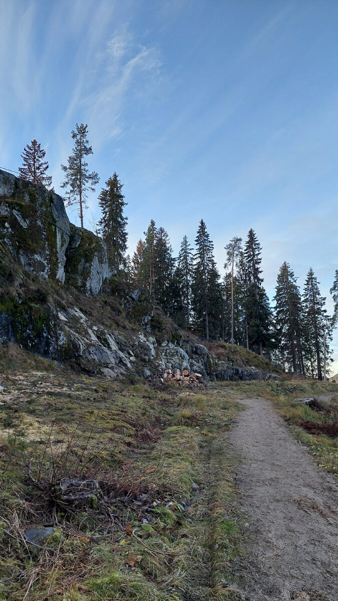 Дорожки в парке