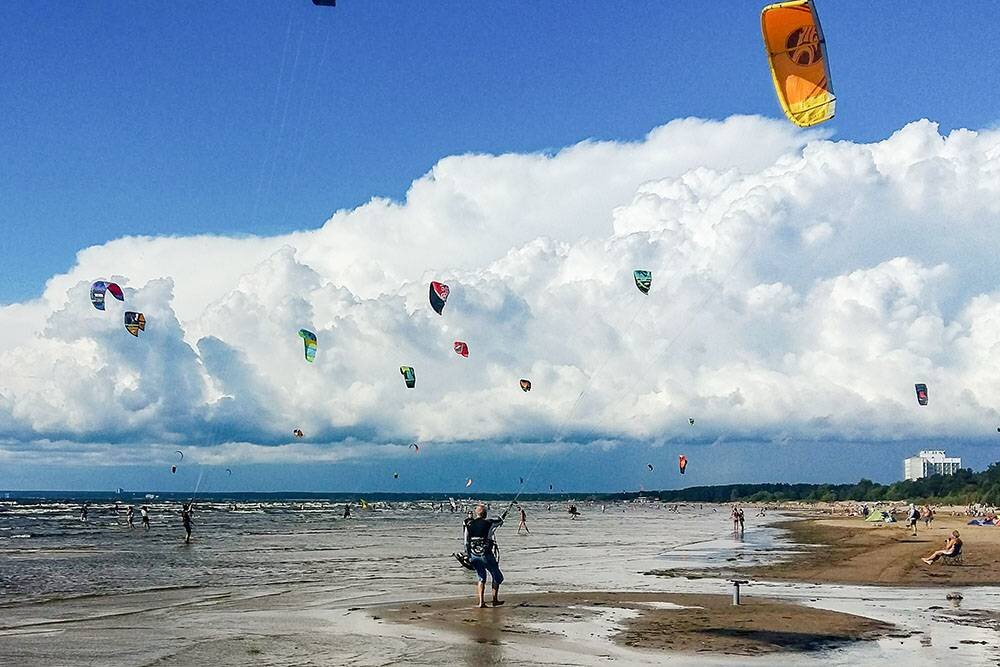 Кайтеры на берегу залива. Им там удобно: сильный ветер, длинный пляж, а глубина небольшая — все недостатки Финского залива для кайтеров становятся преимуществами