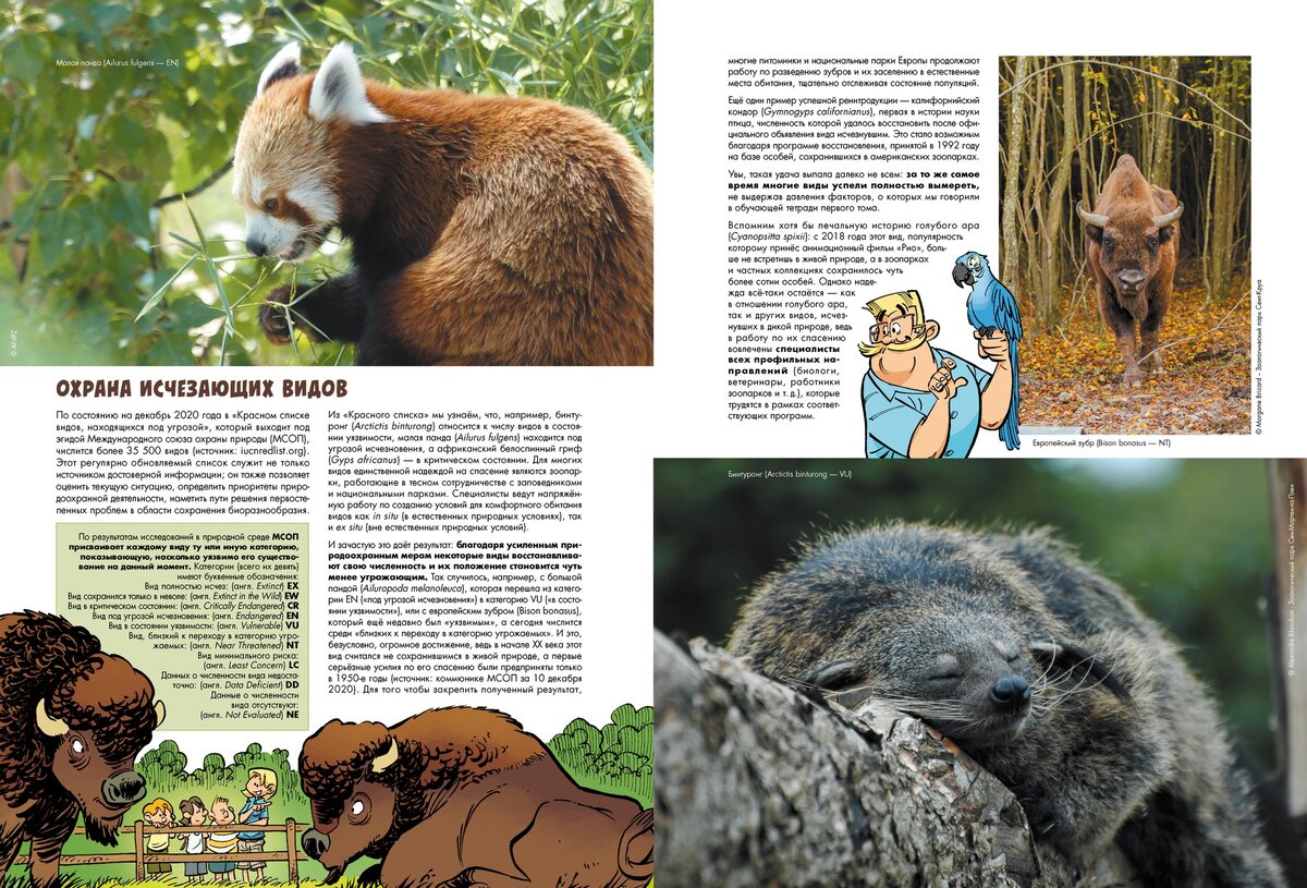 Том 1 | казнов кристоф. Тилацин в криптозоологии. Книга зоопарк исчезнувших животных. Книга зоопарк исчезнувших животных 2. Тасманийский сумчатый волк.